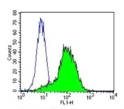 Flow Cytometry: Cytochrome P450 3A7 Antibody (F19 P2 H2) [NB100-74402] - Analysis of Cytochrome P450 3A7 in HepG2 cells compared to an isotype control (blue).