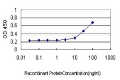 Sandwich ELISA Cytohesin 3 Antibody (6D3-1A9)