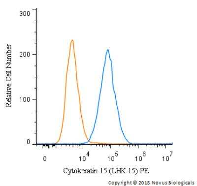 Flow Cytometry: Cytokeratin 15 Antibody (LHK 15) [PE] [NBP2-50461PE] -  An intracellular stain was performed on HeLa cells with Cytokeratin 15 Antibody (LHK 15) NBP2-50461PE (blue) and a matched isotype control (orange). Cells were fixed with 4% PFA and then permeabilized with 0.1% saponin. Cells were incubated in an antibody dilution of 2.5 ug/mL for 30 minutes at room temperature. Both antibodies were conjugated to Phycoerythrin.