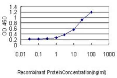 Sandwich ELISA: Cytokeratin 18 Antibody (2F8) [H00003875-M01] - Detection limit for recombinant GST tagged KRT18 is approximately 0.1ng/ml as a capture antibody.