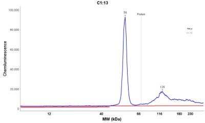 Simple Western: Cytokeratin 18 Antibody (DA7) - Azide and BSA Free [NBP2-33176] - Electropherogram image of the corresponding Simple Western lane. Cytokeratin 18 antibody was used at 10 ug/ml dilution of HeLa lysates(s) respectively.