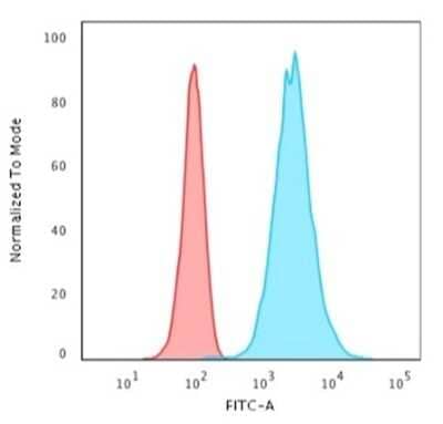 Flow Cytometry: Cytokeratin 18 Antibody (KRT18/2808R) - Azide and BSA Free [NBP3-08634] - Flow Cytometric Analysis of HeLa cells using Cytokeratin 18 Rabbit Recombinant Monoclonal Antibody (KRT18/2808R) followed by Goat anti-rabbit IgG-CF488 (Blue); Isotype Control (Red).