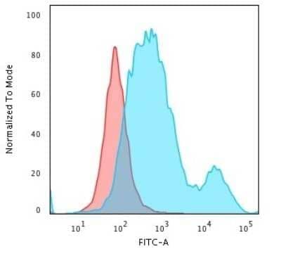 Flow Cytometry: Cytokeratin 18 Antibody (SPM510) - Azide and BSA Free [NBP2-34414] - Flow Cytometric Analysis of trypsinized paraformaldehyde-fixed HeLa cells using Cytokeratin 18 Antibody (SPM510) followed by goat anti-Mouse IgG-CF488 (Blue); Isotype Control (Red).