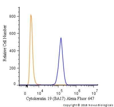 Flow Cytometry: Cytokeratin 19 Antibody (BA17) [Alexa Fluor® 647] [NBP2-34560AF647] - An intracellular stain was performed on HeLa cells with Cytokeratin 19 [BA17] Antibody NBP2-34560AF647 (blue) and a matched isotype control (orange). Cells were fixed with 4% PFA and then permeabilized with 0.1% saponin. Cells were incubated in an antibody dilution of 2.5 ug/mL for 30 minutes at room temperature. Both antibodies were conjugated to Alexa Fluor 647.