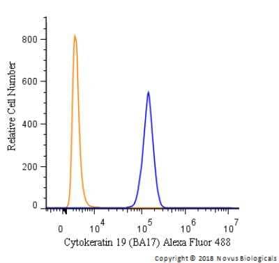 Flow Cytometry: Cytokeratin 19 Antibody (BA17) - Azide and BSA Free [NBP2-34560] - An intracellular stain was performed on HeLa cells with Cytokeratin 19 [BA17] Antibody NBP2-34560AF488 (blue) and a matched isotype control (orange). Cells were fixed with 4% PFA and then permeabilized with 0.1% saponin. Cells were incubated in an antibody dilution of 5 ug/mL for 30 minutes at room temperature. Both antibodies were conjugated to Alexa Fluor 488.