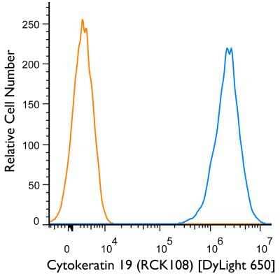 Flow Cytometry: Cytokeratin 19 Antibody (RCK108) [DyLight 650] [NBP1-97712C] - An intracellular stain was performed on HT-29 cells with Cytokeratin 19 (RCK108) NBP1-97712C (blue) and a matched isotype control NBP1-97005C (orange). Cells were fixed with 4% PFA and then permeablized with 0.1% saponin. Cells were incubated in an antibody dilution of 1 ug/mL for 30 minutes at room temperature. Both antibodies were conjugated to DyLight650.