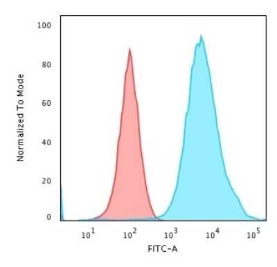 Flow Cytometry: Cytokeratin 19 Antibody (SPM266) - Azide and BSA Free [NBP2-34405] - Flow Cytometric Analysis of Methanol-fixed MCF-7 cells. Cytokeratin 19 Antibody (SPM266) followed by goat anti-Mouse IgG-CF488 (Blue); Isotype Control (Red).