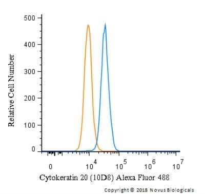 Flow (Intracellular): Cytokeratin 20 Antibody (10D8) [Alexa Fluor 488] [NBP2-42616AF488] - An intracellular stain was performed on HeLa cells with Cytokeratin 20 Antibody (10D8) NBP2-42616AF488 (blue) and a matched isotype control (orange). Cells were fixed with 4% PFA and then permeablized with 0.1% saponin. Cells were incubated in an antibody dilution of 10 ug/mL for 30 minutes at room temperature. Both antibodies were conjugated to Alexa Fluor 488.