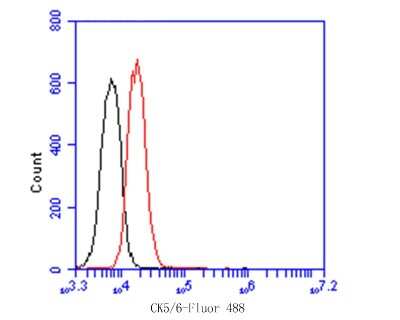 Flow Cytometry: Cytokeratin 5/6 Antibody (A2A12) [NBP2-80401] - Analysis of Cytokeratin 6a was done on A431 cells. The cells were fixed, permeabilized and stained with the primary antibody (1/100) (red). After incubation of the primary antibody at room temperature for an hour, the cells were stained with a Alexa Fluor 488-conjugated goat anti-Mouse IgG Secondary antibody at 1/500 dilution for 30 minutes. Unlabeled sample was used as a control (cells without incubation with primary antibody; black).