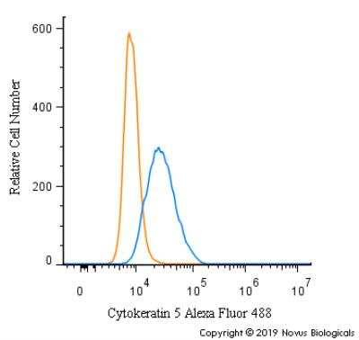 Flow Cytometry: Cytokeratin 5 Antibody [Alexa Fluor® 488] [NBP2-61931AF488] - An intracellular stain was performed on A431 cells with Cytokeratin 5 Antibody NBP2-61931AF488 (blue) and a matched isotype control (orange). Cells were fixed with 4% PFA and then permeabilized with 0.1% saponin. Cells were incubated in an antibody dilution of 10 ug/mL for 30 minutes at room temperature. Both antibodies were conjugated to Alexa Fluor 488.