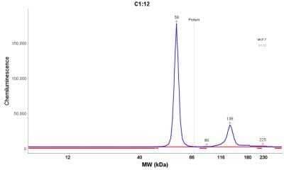 Simple Western: Cytokeratin 8 Antibody (H1) - Azide and BSA Free [NBP2-34626] - Electropherogram image of the corresponding Simple Western lane. Cytokeratin 8 antibody was used at 10 ug/ml dilution of MCF-7 lysates(s) respectively.