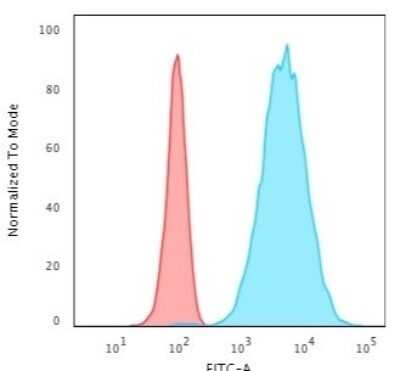 Flow Cytometry: Cytokeratin 8 Antibody (TS1) - Azide and BSA Free [NBP2-34501] - Flow Cytometric Analysis of HeLa cells using Cytokeratin 8 Antibody (TS1).followed by Goat anti-Mouse IgG-CF488 (Blue); Isotype Control (Red).