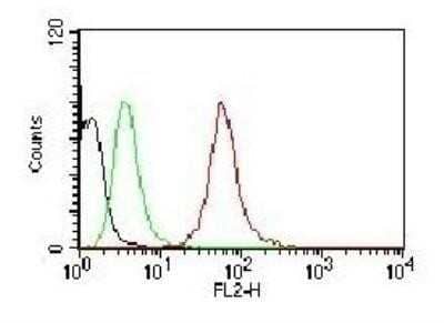 Analysis using Azide and BSA Free version of NBP2-29429. Black: Cells alone; Green: Isotype Control; Red: PE-labeled Pan-Cytokeratin Monoclonal Antibody (AE-1/AE-3).