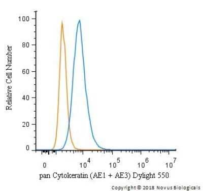 An intracellular stain was performed on HeLa cells with pan Cytokeratin Antibody (AE1 + AE3) NBP2-33200R (blue) and a matched isotype control (orange). Cells were fixed with 4% PFA and then permeabilized with 0.1% saponin. Cells were incubated in an antibody dilution of 10 ug/mL for 30 minutes at room temperature. Both antibodies were conjugated to Dylight 550.