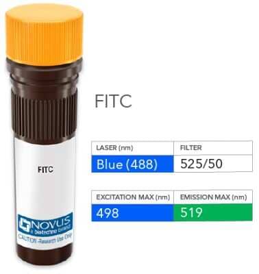 Product Image: Cytokeratin, pan Antibody (AE-1/AE-3) [FITC] [NBP2-33200F] - Vial of FITC conjugated antibody. FITC is optimally excited at 498 nm by the Blue laser (488 nm) and has an emission maximum of 519 nm.