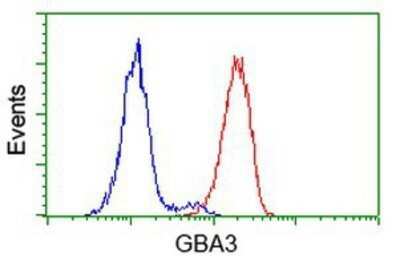 Flow Cytometry: Cytosolic beta-Glucosidase/GBA3 Antibody (OTI1F1) - Azide and BSA Free [NBP2-72100] - Analysis of Hela cells, using anti-GBA3 antibody, (Red), compared to a nonspecific negative control antibody (Blue).