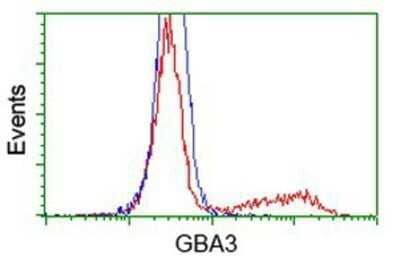 Flow Cytometry: Cytosolic beta-Glucosidase/GBA3 Antibody (OTI1F1) - Azide and BSA Free [NBP2-72100] - HEK293T cells transfected with either overexpression plasmid (Red) or empty vector control plasmid (Blue) were immunostaining by anti-GBA3 antibody, and then analyzed by flow cytometry.