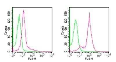 Flow Cytometry: D4-GDI/RhoGDI2 (cleavage specific) Antibody (97A1015) [Alexa Fluor (R) 647] [NBP2-27382] - Intracellular analysis of cleaved D4-GDI in 10^6 untreated (left) and 3 hour staurosporine-treated (right) Jurkat cells using 0.5 ug of this antibody was used for this test. Green histogram represents isotype control; red represents anti-D4-GDI antibody.