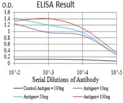 ELISA: DAB2 Antibody (2H7C4) [NBP2-61884] - Black line: Control Antigen (100 ng);Purple line: Antigen (10ng); Blue line: Antigen (50 ng); Red line:Antigen (100 ng)