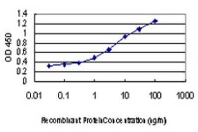 Sandwich ELISA: DAP Kinase 1 Antibody (2E7) [H00001612-M01] - Detection limit for recombinant GST tagged DAPK1 is approximately 0.1ng/ml as a capture antibody.