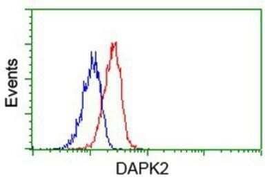 CyTOF-ready: DAP Kinase 2 Antibody (OTI1C5) - Azide and BSA Free [NBP2-71753] - Analysis of Jurkat cells, using anti-DAP Kinase 2 antibody, (Red), compared to a nonspecific negative control antibody (Blue).