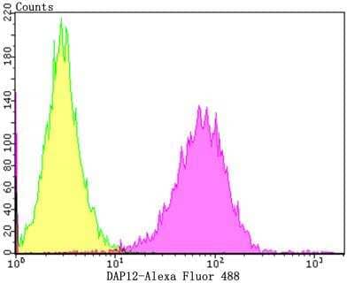 Western Blot: DAP12 Antibody (JG38-70) [NBP2-76828] - Analysis of K562 cells with DAP12 antibody at 1/100 dilution (purple) compared with an unlabelled control (cells without incubation with primary antibody; yellow). Alexa Fluor 488-conjugated goat anti-rabbit IgG was used as the secondary antibody.