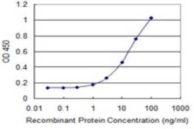 Sandwich ELISA: DAPP1 Antibody (1E1) [H00027071-M04] - Detection limit for recombinant GST tagged DAPP1 is 0.3 ng/ml as a capture antibody.