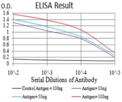 ELISA: DAPP1 Antibody (2F7A9) [NBP2-61740] - Black line: Control Antigen (100 ng);Purple line: Antigen (10ng); Blue line: Antigen (50 ng); Red line:Antigen (100 ng)