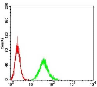 Flow Cytometry: DAPP1 Antibody (2F7A9) [NBP2-61740] - Analysis of A549 cells using DAPP1 mouse mAb (green) and negative control (red).