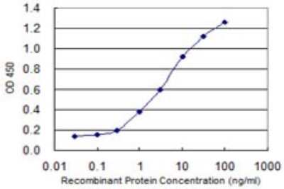 Sandwich ELISA: DARPP-32 Antibody (1A3) [H00084152-M05] - Detection limit for recombinant GST tagged PPP1R1B is 0.03 ng/ml as a capture antibody.