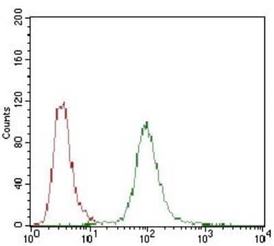 Flow Cytometry: DARPP-32 Antibody (2G6D9) [NBP2-37288] - Flow cytometric analysis of Hela cells using PPP1R1B mouse mAb (green) and negative control (red).