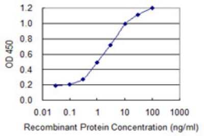 Sandwich ELISA: DARPP-32 Antibody (3G11) [H00084152-M03] - Detection limit for recombinant GST tagged PPP1R1B is 0.1 ng/ml as a capture antibody.