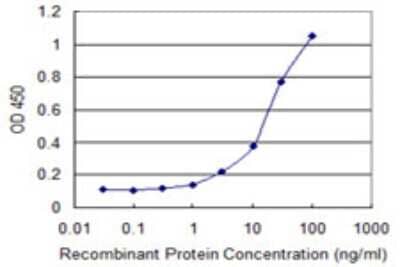 Sandwich ELISA: DBF4B Antibody (1A7) [H00080174-M01] - Detection limit for recombinant GST tagged DBF4B is 1 ng/ml as a capture antibody.