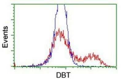 Flow Cytometry: DBT Antibody (OTI1G2) - Azide and BSA Free [NBP2-70553] - HEK293T cells transfected with either overexpression plasmid (Red) or empty vector control plasmid (Blue) were immunostaining by anti-DBT antibody, and then analyzed by flow cytometry.