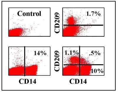 Flow Cytometry: DC-SIGN/CD209 Antibody (209MD26A) [NBP2-60971] - Obtained with bovine leukocytes