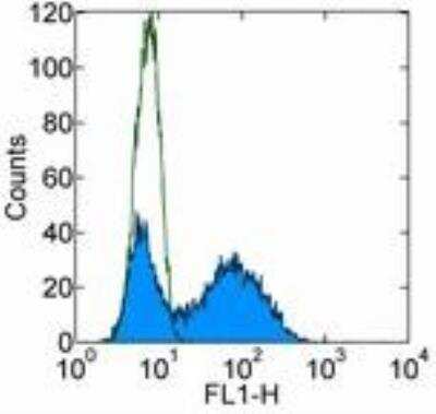 Flow Cytometry: DC-SIGN/CD209 Antibody (LWC06) [FITC] [NBP1-43965] - Staining of mouse CIRE/DC-SIGN-transfected CHO cells with 0.5 ug of Rat IgG2a kappa Isotype Control FITC (open histogram) or 0.5 ug of Anti-Mouse CD209 (DC-SIGN) FITC (filled histogram). Total viable cells were used for analysis.