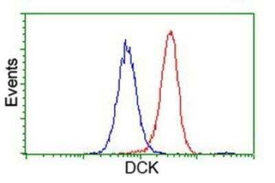 Flow Cytometry: DCK Antibody (OTI3F5) - Azide and BSA Free [NBP2-70555] - Analysis of Hela cells, using anti-DCK antibody, (Red), compared to a nonspecific negative control antibody (Blue).