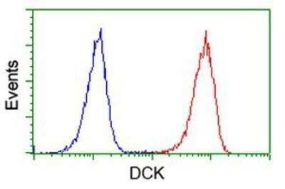 Flow Cytometry: DCK Antibody (OTI3F5) - Azide and BSA Free [NBP2-70555] - Analysis of Jurkat cells, using anti-DCK antibody, (Red), compared to a nonspecific negative control antibody (Blue).