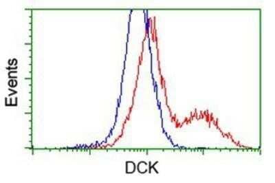 Flow Cytometry: DCK Antibody (OTI3F5) - Azide and BSA Free [NBP2-70555] - HEK293T cells transfected with either overexpression plasmid (Red) or empty vector control plasmid (Blue) were immunostaining by anti-DCK antibody, and then analyzed by flow cytometry.