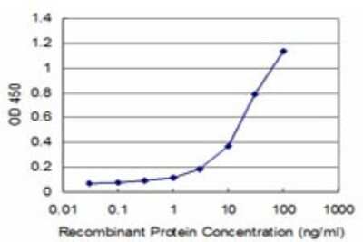Sandwich ELISA: DCPS Antibody (1G4) [H00028960-M02] - Detection limit for recombinant GST tagged DCPS is approximately 3ng/ml as a capture antibody.