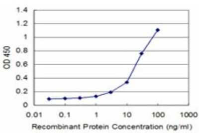 Sandwich ELISA: DCPS Antibody (3E5) [H00028960-M03] - Detection limit for recombinant GST tagged DCPS is approximately 3ng/ml as a capture antibody.