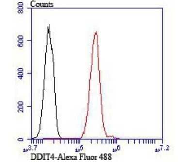 Flow Cytometry: DDIT4 Antibody [NBP2-80416] - Analysis of A549 cells with DDIT4 antibody at 1/100 dilution (red) compared with an unlabeled control (cells without incubation with primary antibody; black).