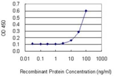 Sandwich ELISA: DDIT4L Antibody (2E6) [H00115265-M01] - Detection limit for recombinant GST tagged DDIT4L is 3 ng/ml as a capture antibody.