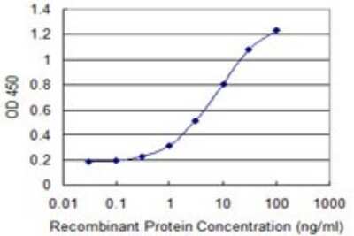 Sandwich ELISA: DDO Antibody (3F7) [H00008528-M09] - Detection limit for recombinant GST tagged DDO is 0.1 ng/ml as a capture antibody.