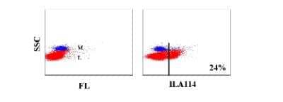 Flow Cytometry: DEC-205/CD205 Antibody (ILA114A) [NBP2-60973] - FC profile obtained with bovine leukocytes.