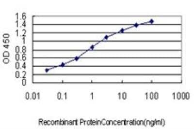 ELISA: DEC1 Antibody (5B1) [H00008553-M01] - Detection limit for recombinant GST tagged BHLHB2 is approximately 0.03ng/ml as a capture antibody.