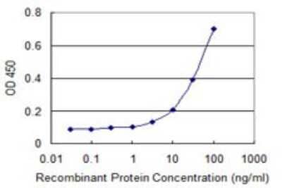 Sandwich ELISA: DECR2 Antibody (4A7) [H00026063-M03] - Detection limit for recombinant GST tagged DECR2 is 1 ng/ml as a capture antibody.