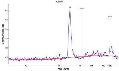 Simple Western: DENN/MADD Domain Containing 2D Antibody [NBP2-30995] - Electropherogram image of the corresponding Simple Western lane view. DENN/MADD Domain Containing 2D antibody was used at 1:25 dilution on MOLT-4 lysate(s) respectively.  