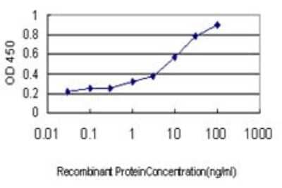 Sandwich ELISA: DHODH Antibody (6E1) [H00001723-M01] - Detection limit for recombinant GST tagged DHODH is approximately 0.3ng/ml as a capture antibody.