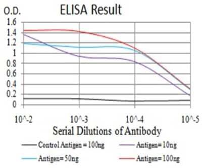 ELISA: DHX58 Antibody (3E11F1) [NBP2-61750] - Black line: Control Antigen (100 ng);Purple line: Antigen (10ng); Blue line: Antigen (50 ng); Red line:Antigen (100 ng)